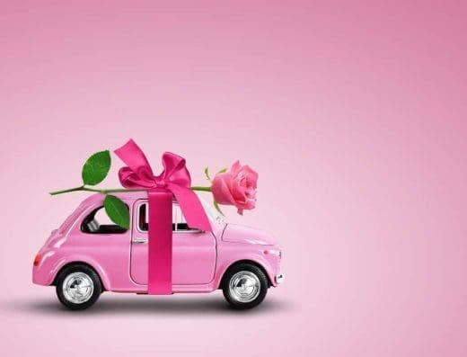 pink-taxi-vlasotince-jpeg-22-kb-1000 x 676-piksela